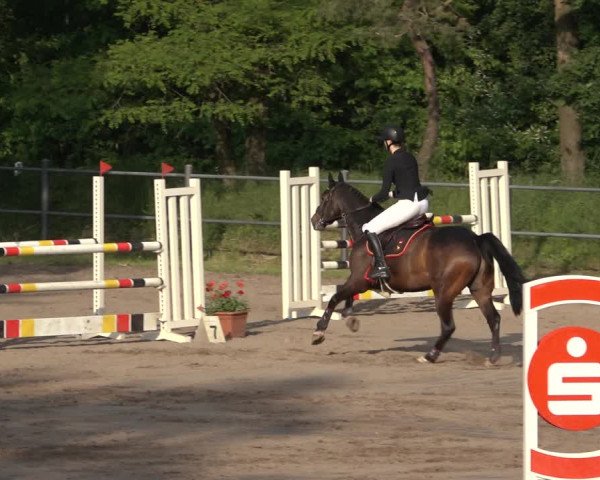 Reitturnier Mettingen 2023