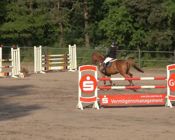 Reitturnier Mettingen 2023