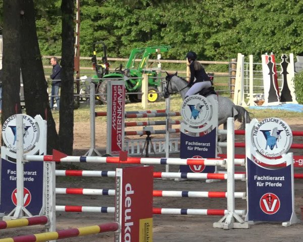 Reitturnier Mettingen 2023