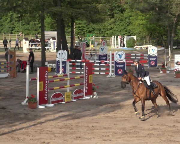Reitturnier Mettingen 2023
