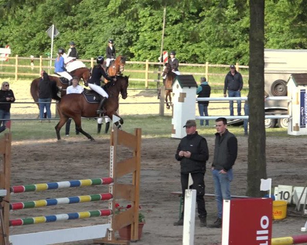 Reitturnier Mettingen 2023