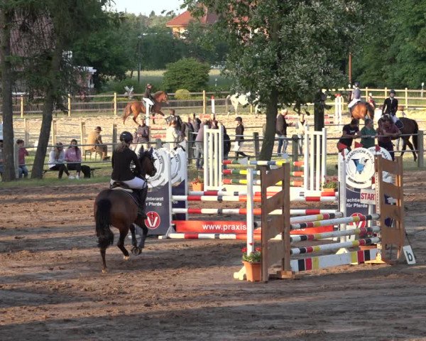 Reitturnier Mettingen 2023