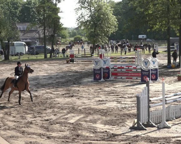 Reitturnier Mettingen 2023