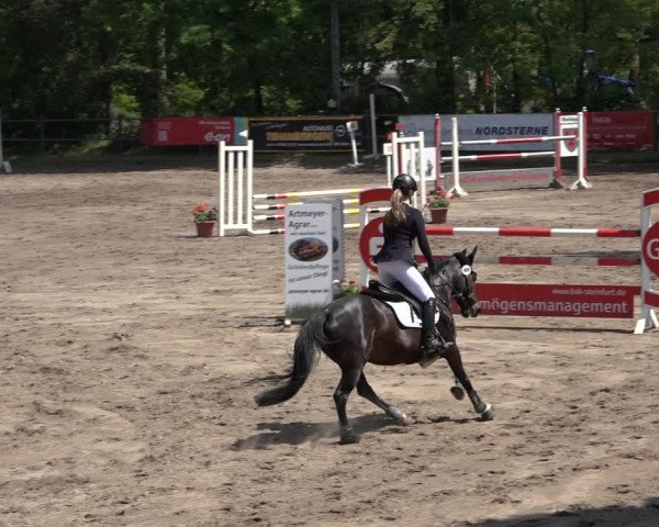 Reitturnier Mettingen 2023