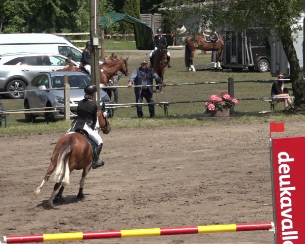 Reitturnier Mettingen 2023