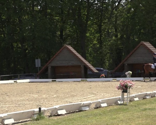 Reitturnier Mettingen 2023
