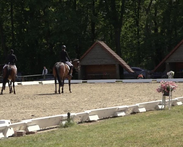 Reitturnier Mettingen 2023