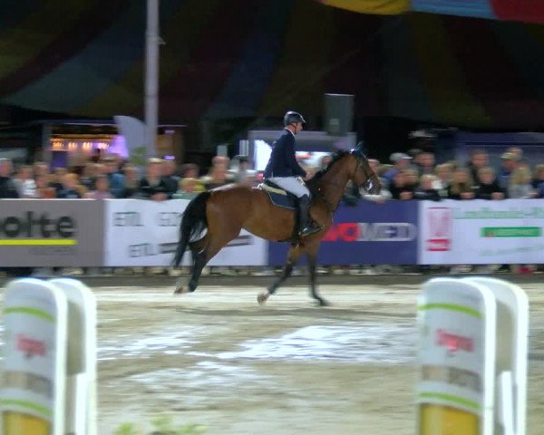 Reitturnier Borken Reitanlage Sportpferde Ehning 2023