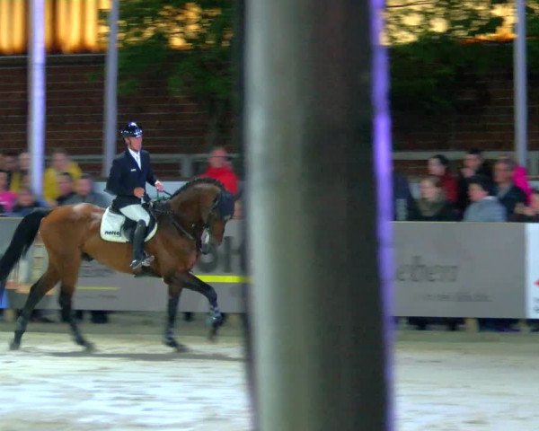 Reitturnier Borken Reitanlage Sportpferde Ehning 2023
