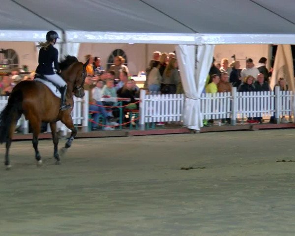 Reitturnier Borken Reitanlage Sportpferde Ehning 2023