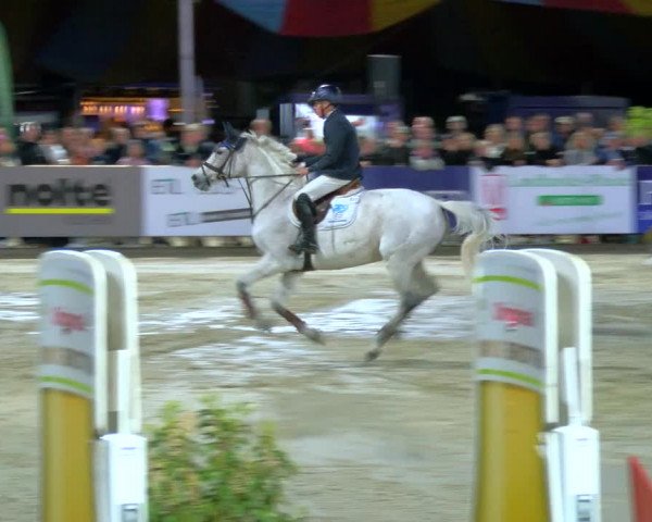 Reitturnier Borken Reitanlage Sportpferde Ehning 2023
