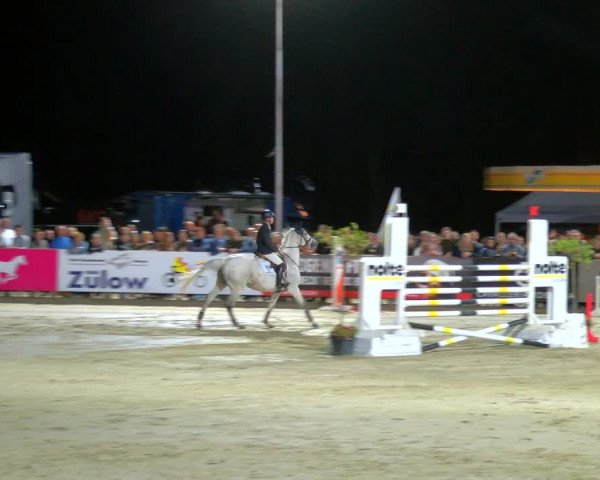 Reitturnier Borken Reitanlage Sportpferde Ehning 2023