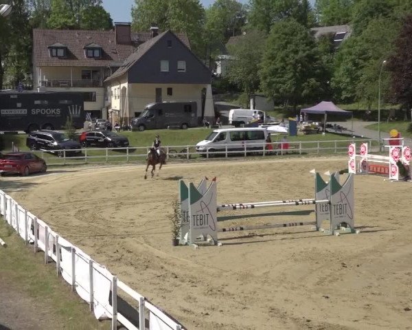 Reitturnier Siegen-Weidenau 2023