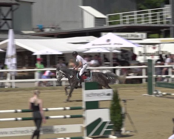 Reitturnier Siegen-Weidenau 2023