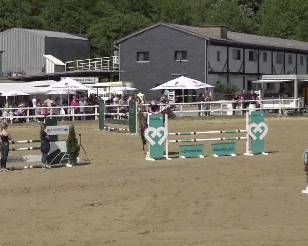 Reitturnier Siegen-Weidenau 2023