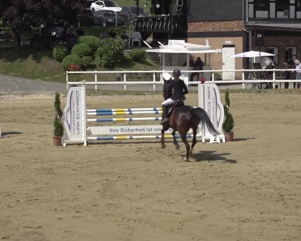 Reitturnier Siegen-Weidenau 2023
