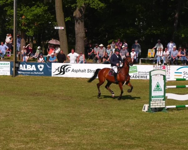 Reitturnier Cottbus-Sielow 2023