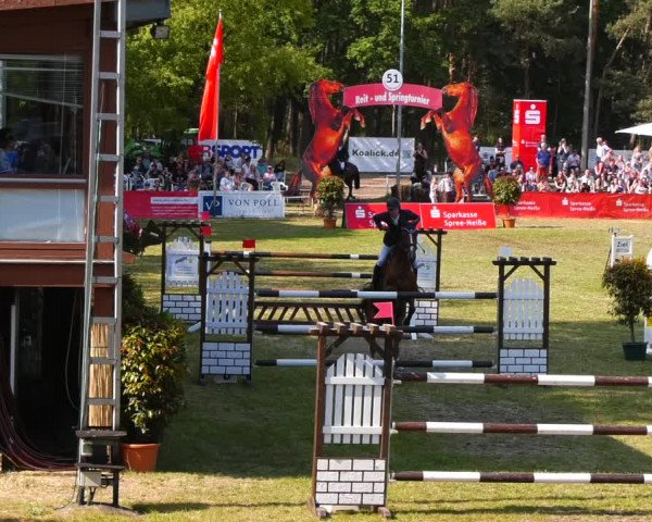 Reitturnier Cottbus-Sielow 2023