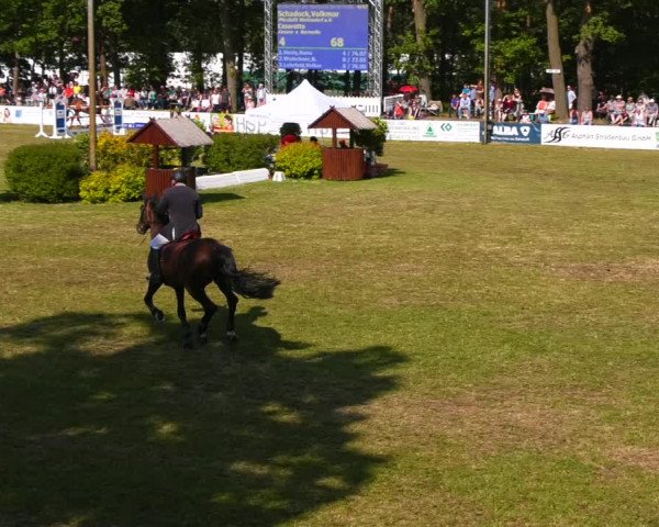 Reitturnier Cottbus-Sielow 2023