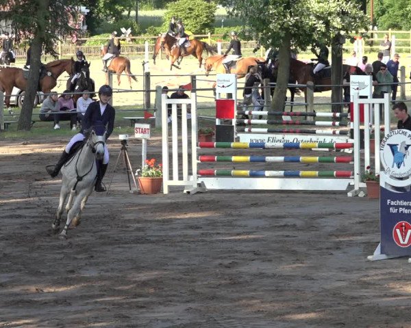 Reitturnier Mettingen 2023