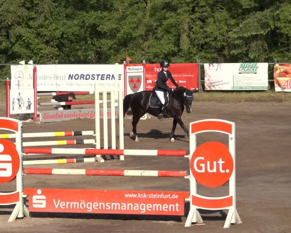 Reitturnier Mettingen 2023