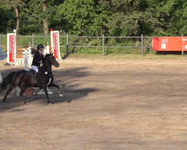 Reitturnier Mettingen 2023