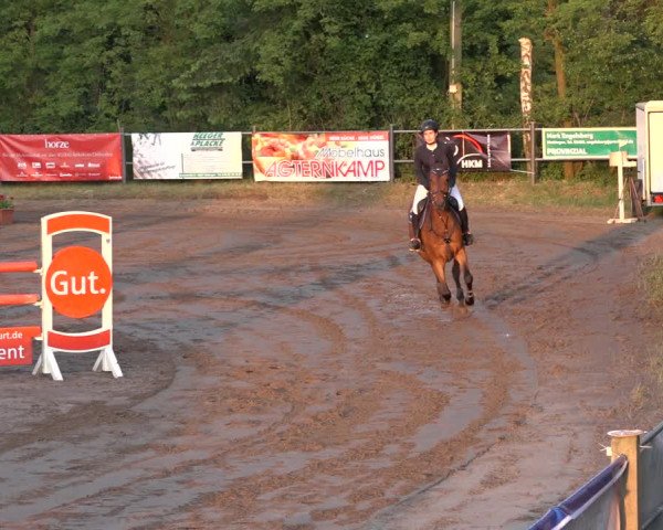 Reitturnier Mettingen 2023