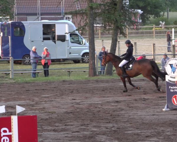 Reitturnier Mettingen 2023