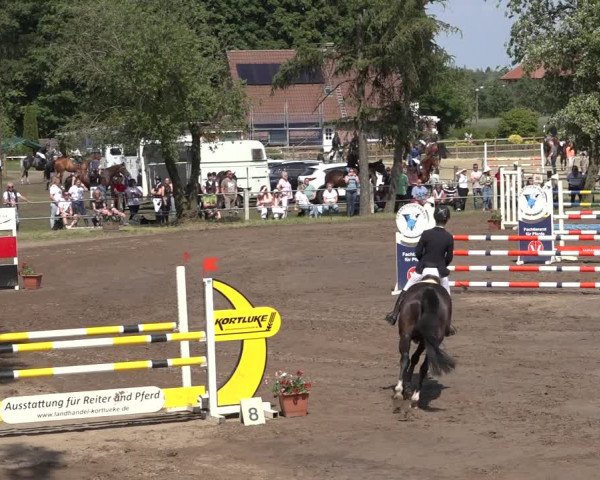Reitturnier Mettingen 2023