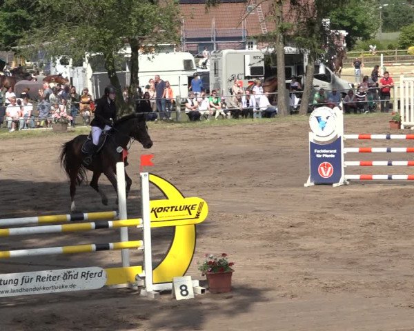 Reitturnier Mettingen 2023