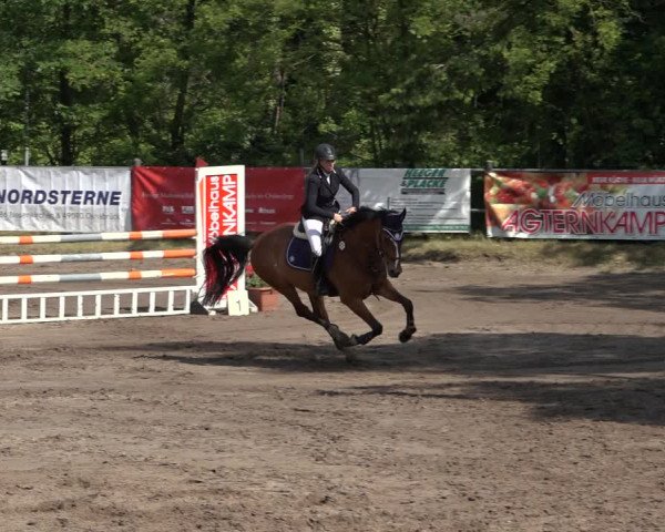 Reitturnier Mettingen 2023