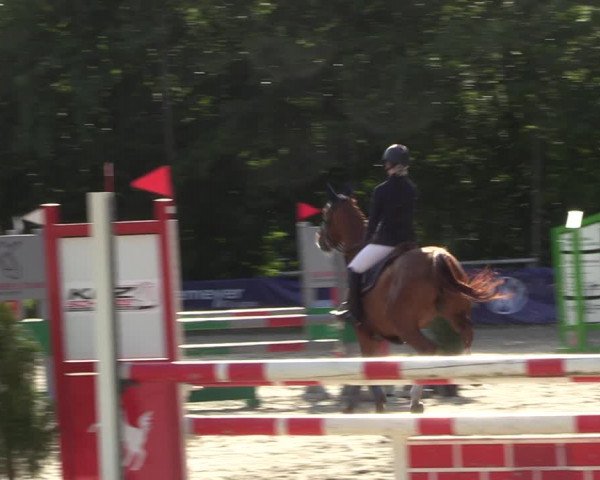 Reitturnier Bochum 2023