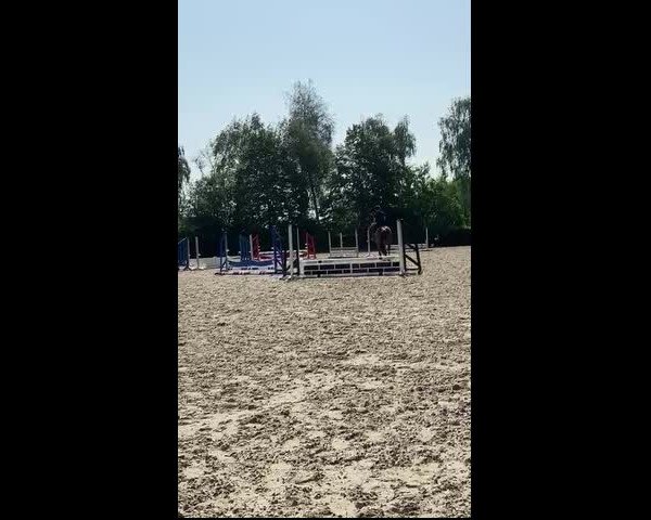 Video von Ascalexus Z