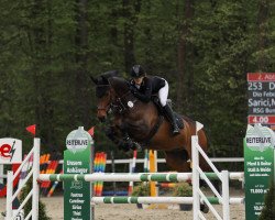 jumper Dios Boy Eb (Zangersheide riding horse, 2012, from Dio Febo Aremac)