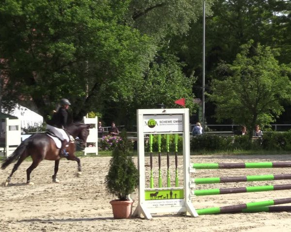 Reitturnier Bochum 2023