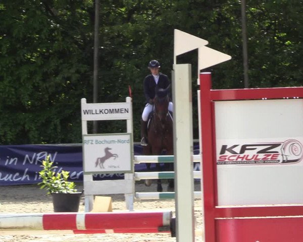 Reitturnier Bochum 2023