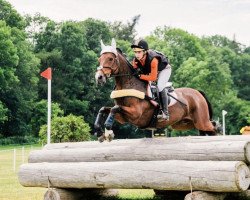 jumper Ballinagore Bambi (Connemara Pony, 2009, from Gwennic de Goariva)