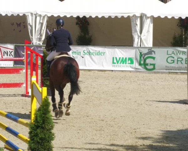 Reitturnier Karlsfeld/Obb. 2023