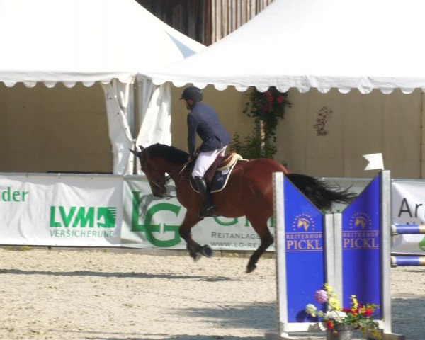 Reitturnier Karlsfeld/Obb. 2023