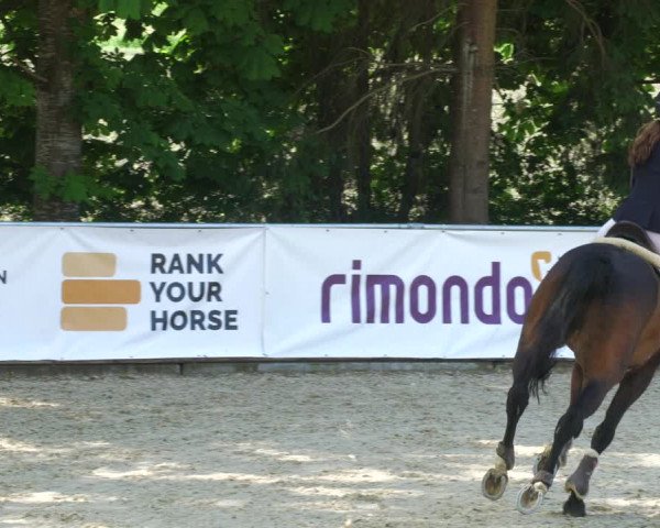 Reitturnier Karlsfeld/Obb. 2023