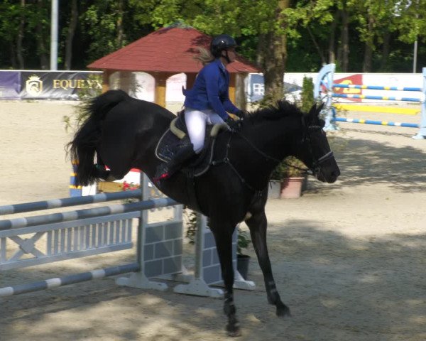 Reitturnier Karlsfeld/Obb. 2023