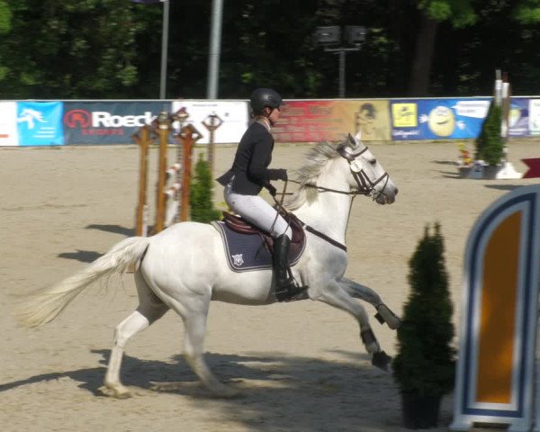 Reitturnier Karlsfeld/Obb. 2023