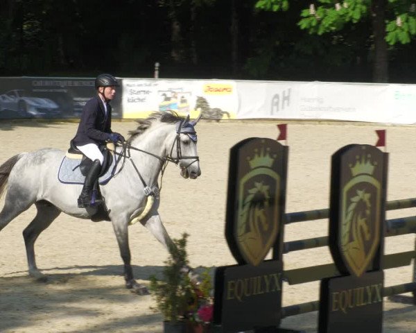 Reitturnier Karlsfeld/Obb. 2023