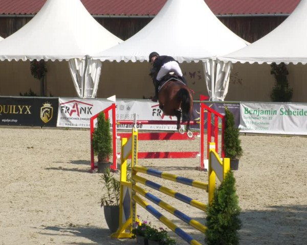Reitturnier Karlsfeld/Obb. 2023