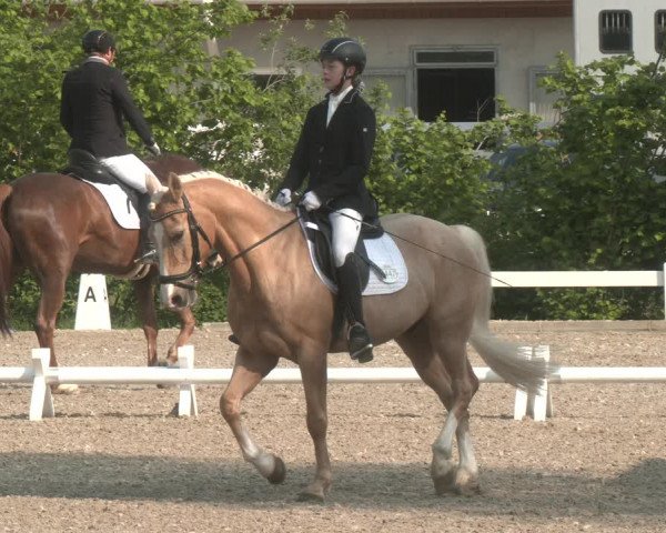 Reitturnier Kreuttal - Frey Horses 2023