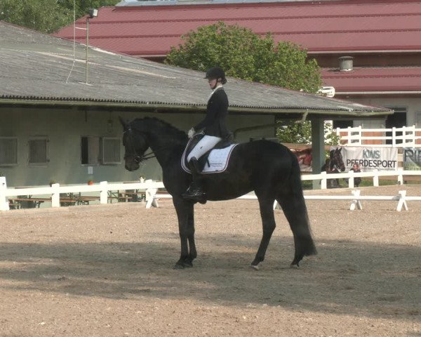 Reitturnier Kreuttal - Frey Horses 2023