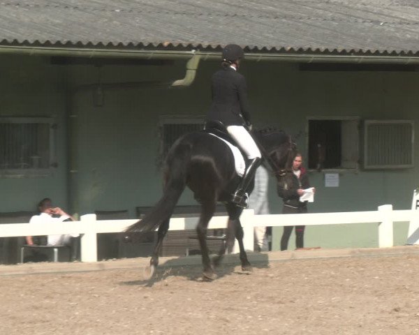 Reitturnier Kreuttal - Frey Horses 2023