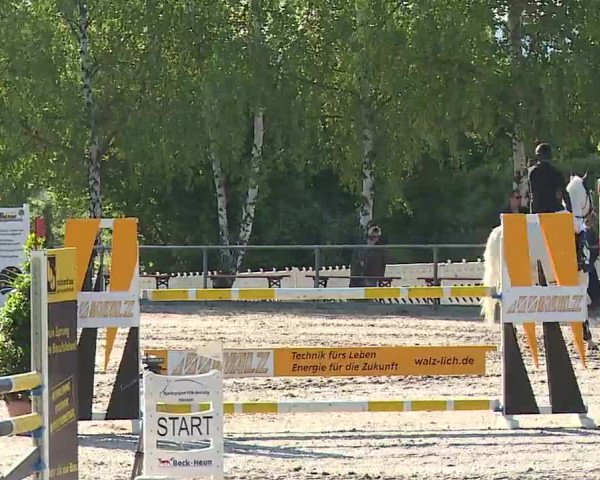Reitturnier Landenhausen 2023