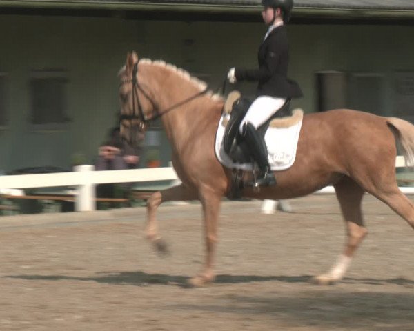 Reitturnier Kreuttal - Frey Horses 2023