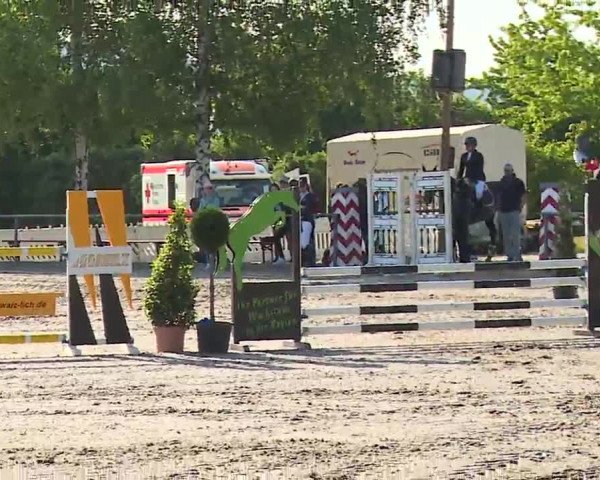 Reitturnier Landenhausen 2023